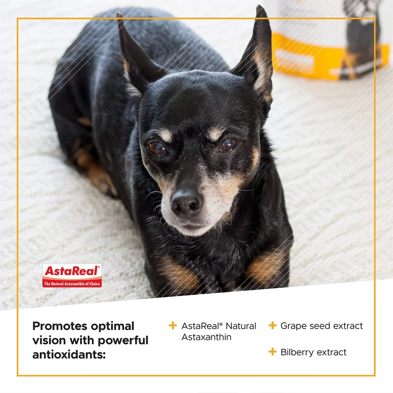 VETRISCIENCE Golden Years Clear and Bright Vision Support for Senior Dogs, Chicken Flavor, 60 Chews - Supports Cloudy and Teary Eyes and Ocular Blood Flow