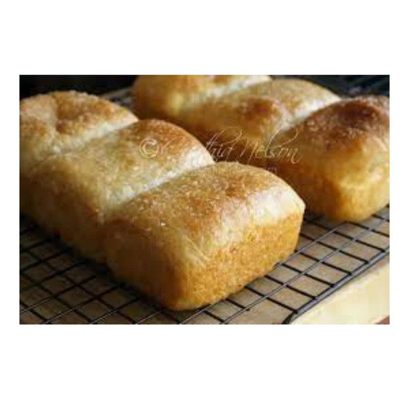 Saf Levure Active Dried Yeast 500g LeSaffre general purpose active yeast