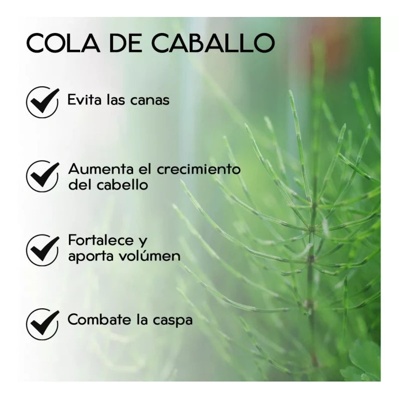 Secreto Herbal Shampoo Secreto Herbal AnticaÃda Con Cola De Caballo 1L