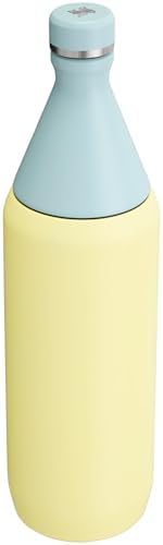 STANLEY All Day Slim Bottle 20-34 OZ | Twist off Lid with Leakproof Seal | Slim Design for Travel & Gym | Insulated Stainless Steel | BPA-Free