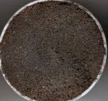 Stained Concrete Crack Filler - Gull Gray - 3 lb. Bottle