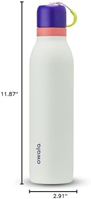 FreeSip Twist Insulated Stainless Steel Water Bottle with Straw for Sports and Travel, BPA-Free, 24-oz, Purple/Green (Minty Horizons)