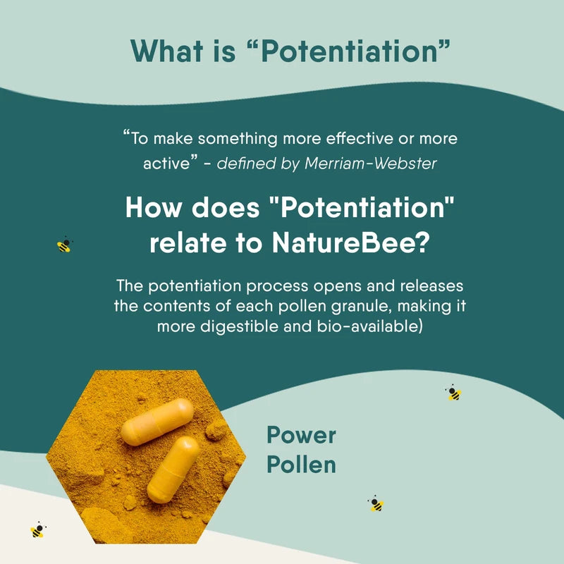 NatureBee Power Pollen 60 x 500mg Caps | Energy, Immune, and Cognitive Support | Potentiated Bee Pollen | Natural & Organic Superfood | 1 Month Supply
