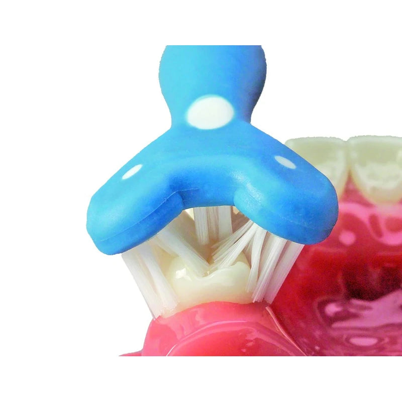 Surround® Toothbrush (Pack of 2) (Blue/Coral)