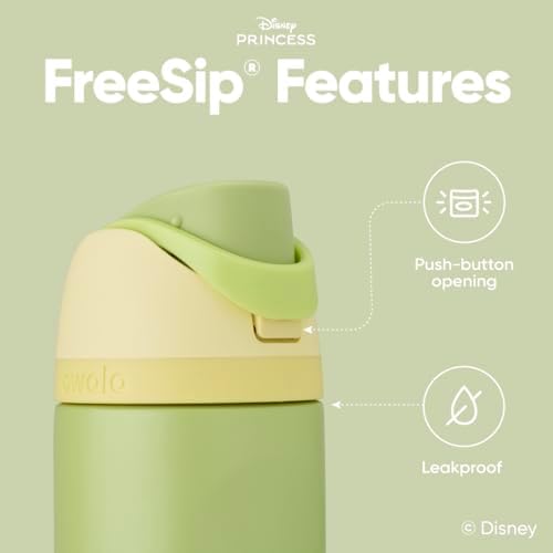 Disney Princess FreeSip Insulated Stainless Steel Water Bottle with Straw for Sports and Travel, BPA-Free Sports Water Bottle, 24 oz, Tiana