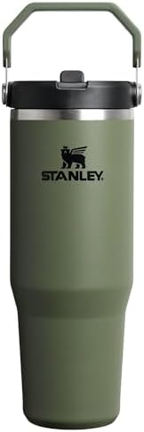 Stanley IceFlow 2.0 Flip Straw Tumbler with Handle 30 oz | Twist On Lid and Flip Up Straw | Leak Resistant Water Bottle | Insulated Stainless Steel | BPA-Free | Dried Pine
