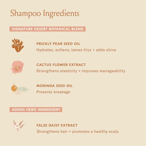 DAE Signature Shampoo - Cleanses & Hydrates Dry Hair & Scalp (32 oz.)