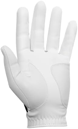 FootJoy Men's WeatherSof 2-Pack Golf Glove