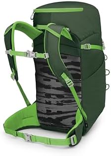 Osprey Jet 28L Kid's Hiking Backpack, Green Canopy