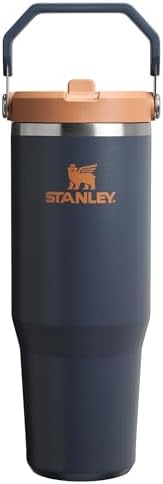 Stanley IceFlow 2.0 Flip Straw Tumbler with Handle 30 oz | Twist On Lid and Flip Up Straw | Leak Resistant Water Bottle | Insulated Stainless Steel | BPA-Free | Twilight