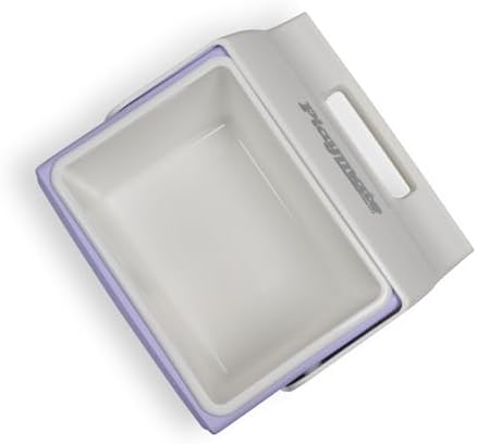 Igloo Classic Playmate Coolers