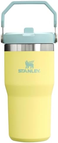 Stanley IceFlow Flip Straw Tumbler with Handle 20 oz | Twist On Lid and Flip Up Straw | Leak Resistant Water Bottle | Insulated Stainless Steel |BPA-Free | Pomelo