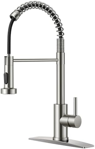 FORIOUS Kitchen Faucets, Brushed Nickel Kitchen Sink Faucet with Pull Down Sprayer, Commercial Kitchen Faucet Stainless Steel, Classic Single Handle Pull Out Sink Faucets for RV Laundry Utility Room