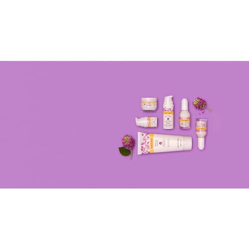 Burt's Bees Skin Care Stocking Stuffers, Face Moisturizer, Firming Face Cream, Anti-Aging Retinol Alternative, Moisturizing Natural Origin Skin Care Christmas Gifts, 1.8 Ounce