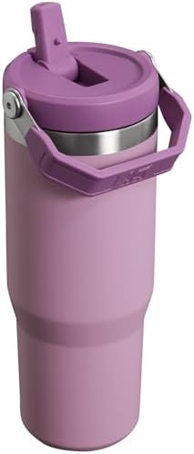 Stanley IceFlow Flip Straw Tumbler with Handle 30 oz | Twist On Lid and Flip Up Straw | Leak Resistant Water Bottle | Insulated Stainless Steel |BPA-Free | Lilac