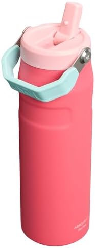 Stanley IceFlow Flip Straw 2.0 Water Bottle 24 oz | Built-In Straw for Travel and Sports | Lightweight and Leak Resistant | Insulated Stainless Steel | BPA-Free | Watermelon