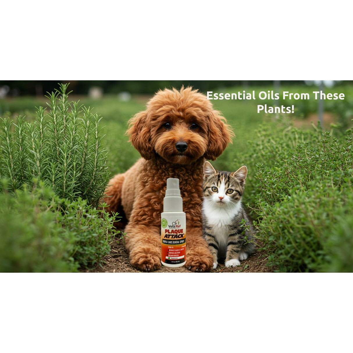 Plaque Attack Pet Dental Spray