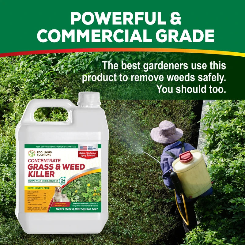 Weed Killer Concentrate - Eco Living Solutions Weed Killer Spray | Pet Safe Weed Killer | Organic Weed and Grass Killer | Moss Killer | Crabgrass & Dandelion killer | Glyphosate Free herbicide (32 oz)