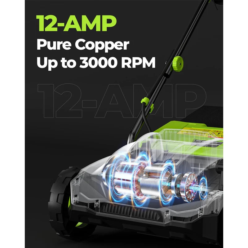 BUCOTOD 2-in-1 Electric Dethatcher and Scarifier, 13-Inch Raking & Scarifying, Turf Dethatcher & with 4-Position Height Adjustment, 14.5 gal Removable Thatch Bag for Lawn Health