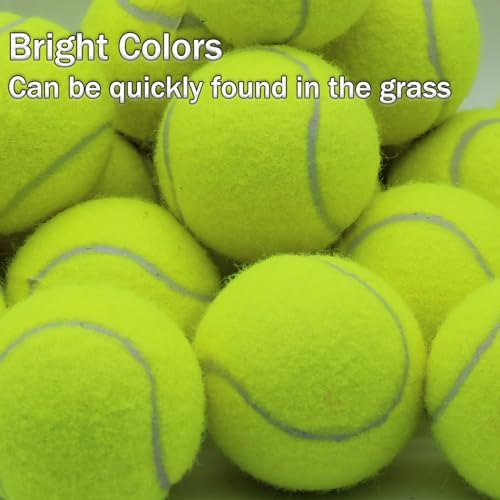 Tennis Balls, 20 Pack Training Tennis Balls,High Elasticity Practice Tennis for Beginner, Exercise Playing Balls for Pet Dog