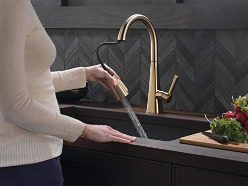Delta 19802Z-CZ-DST Lenta Kitchen Faucet, Without Soap Dispenser, Champagne Bronze