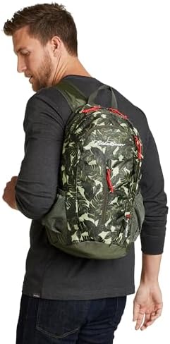 Eddie Bauer Stowaway Packable Backpack-Made from Ripstop Polyester, Onyx, 20L