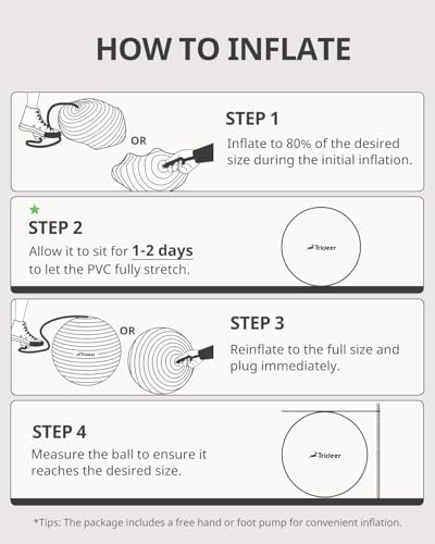 Trideer Extra Thick Yoga Ball Exercise Ball, 5 Sizes Gym Ball, Heavy Duty Ball Chair for Balance, Stability, Pregnancy, Quick Pump Included