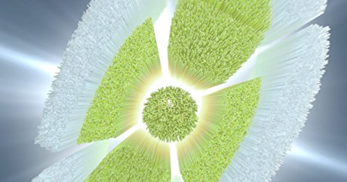 Philips Sonicare Genuine W DiamondClean Replacement Toothbrush Heads, 4 Brush Heads, White, HX6064/65