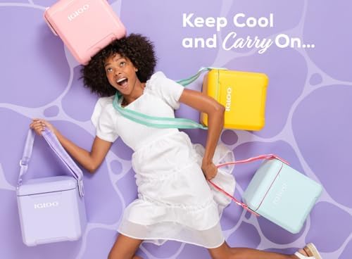 Igloo 11 Qt Tag Along Too Strapped Picnic Style Cooler