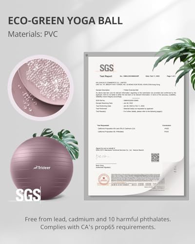 Trideer Yoga Ball - Exercise Ball for Workout pilates Stability - Anti-Burst and Slip Resistant for physical therapy, Birthing, Stretching & Core Workout, Office Ball Chair, Flexible Seating, Home Gym