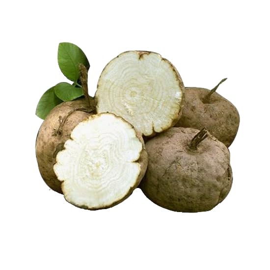 100 Caps Pueraria Mirifica White Extract Powder, 100% 10:1 Potent, Organic, 1,000mg Per Servings, Non GMO from Thailand, Premium Quality, Vegan