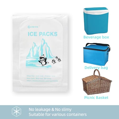 WORLD-BIO Dry Ice for Shipping Frozen Food & Travel, Long Lasting Cold Packs for Cooler 96 Packs 4.7" x 3.3", Small Freezer Packs for Shipping, Bulk Reusable Dry Ice Packs Cool Pack for Shipping