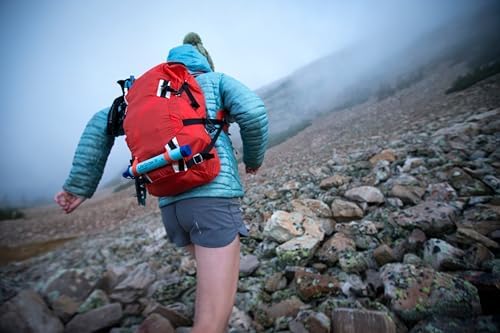 LifeStraw Personal Water Purifier for Hiking, Camping, Travel, and Emergency Preparedness