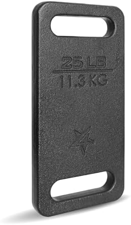Yes4All Cast Iron Ruck Weight, Weighted Plate for Rucking, Swings, Squat, Strength Training - Multiple Weights: 10LB to 45LB