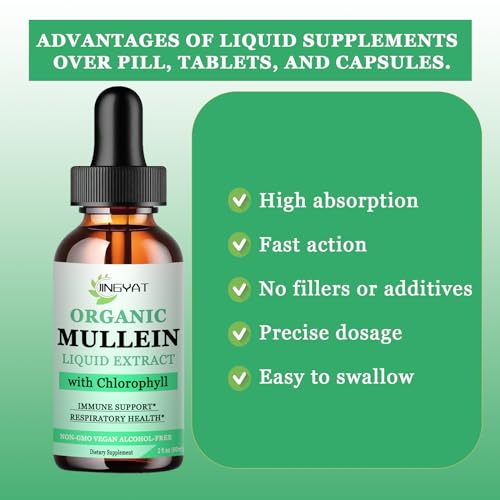 3 Pack JINGYAT Mullein Drops for Lungs | Powerful Mullein Leaf Extract with Chlorophyll, Vitamin C, Cinnamon for Immune Support, Detox & Respiratory Support, Bronchial Support | Non-GMO, Kosher, Gluten-Free