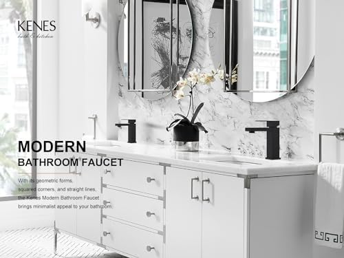 KENES Matte Black Single Handle Bathroom Sink Faucet, Stainless Steel Vanity Faucet for Bathroom Sink, with Pop Up Drain Stopper & Water Supply Hoses LJ-9031-2