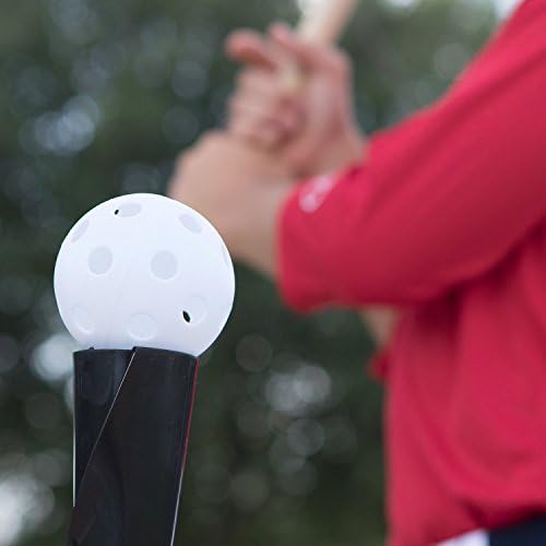 Champion Sports Hollow Plastic Baseballs