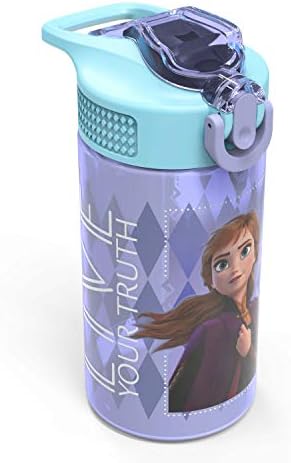 Zak Designs Disney Frozen 2 Kids Water Bottle Set with Reusable Straws and Built in Carrying Loops, Made of Plastic, Leak-Proof Designs 16 oz, BPA-Free, 2pc Set, Elsa & Anna (Frozen 2)