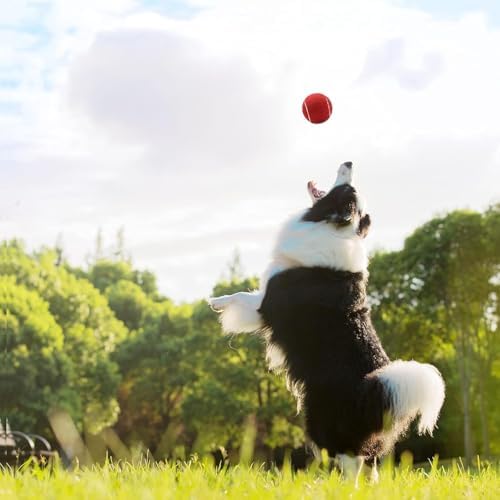 Magicorange Tennis Balls, 12 Pack Advanced Training Tennis Balls Practice Balls, Come with Mesh Bag for Easy Transport, Good for Beginner Training Ball