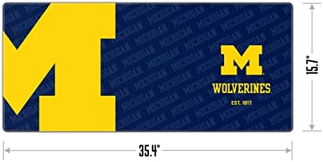 YouTheFan NCAA Michigan Wolverines Logo Series Desk Pad