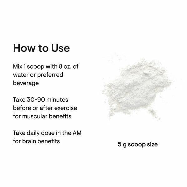 THORNE Creatine - Micronized Creatine Monohydrate Powder, Amino Acid Support for Muscles, Cellular Energy & Cognitive Function* - Unflavored - NSF Certified for Sport - 5 g per Serving - 180 Servings