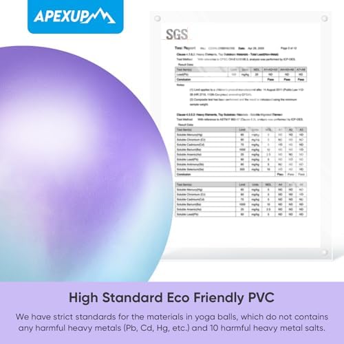 APEXUP Yoga & Pilates Ball - Anti Slip Heavy Duty Gym Ball for Fitness, Balance & Core Workout