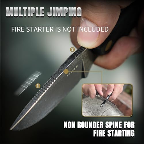 Kizer Hare Fixed Blade Knife with Sheath, 3.14" D2 Steel Blade EDC Fixed Blade Hunting Knives with Black G10 Handle, Small Bushcraft Survival Neck Knives, Outdoor Camping Knife for Men Women, 1077M1