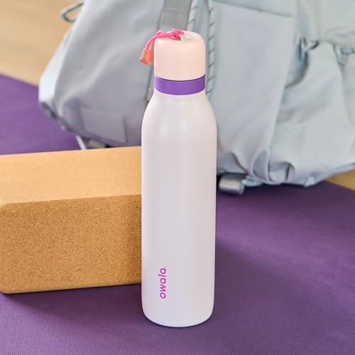 FreeSip Twist Insulated Stainless Steel Water Bottle with Straw for Sports and Travel, BPA-Free, 24-oz, Pink/Purple (Dreamy Field)