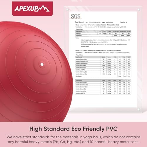 APEXUP Yoga & Pilates Ball - Anti Slip Heavy Duty Gym Ball for Fitness, Balance & Core Workout