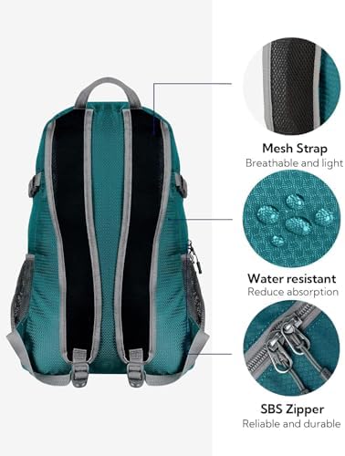 WATERFLY Small Lightweight Packable Backpack: 20l Ultra Light Foldable Travel Hiking Camping Daypack Day Pack for Man Woman