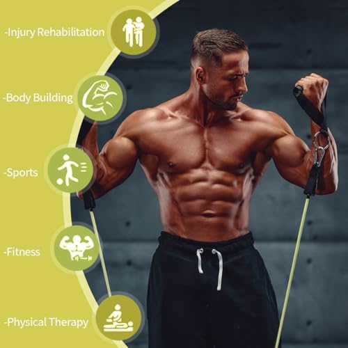 VEICK Resistance Bands, Exercise Bands, Workout Bands Set for Working Out with Handles for Men Women, Elastic Exercising Bands for Fitness Weights Work Out at Home Gym