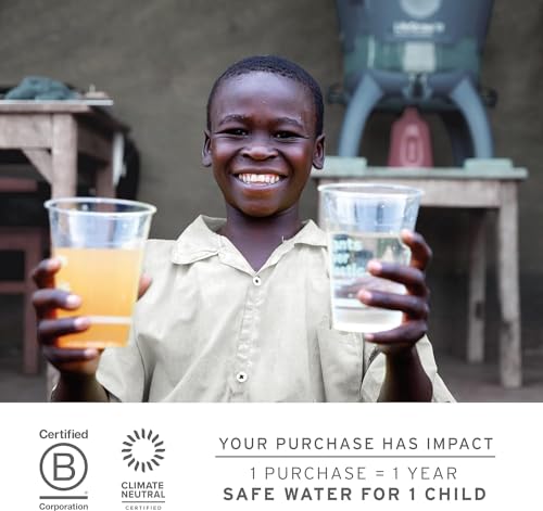 LifeStraw Peak Series Water Filter - 1L, Dark Mountain Gray, Protects Against Bacteria and Parasites, Ultra-Compact and Versatile