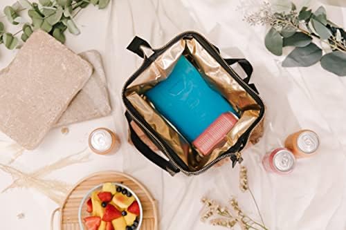 Igloo Maxcold Ice Blocks, Reusable