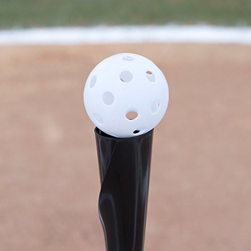 Champion Sports Hollow Plastic Baseballs